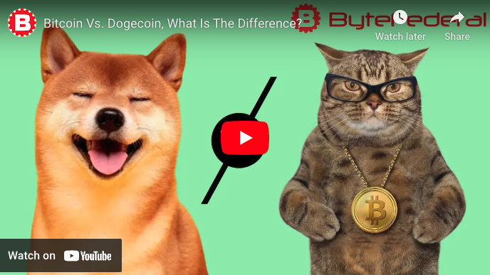 Dogecoin Vs. Bitcoin: What's The Difference? - News ₿ytes