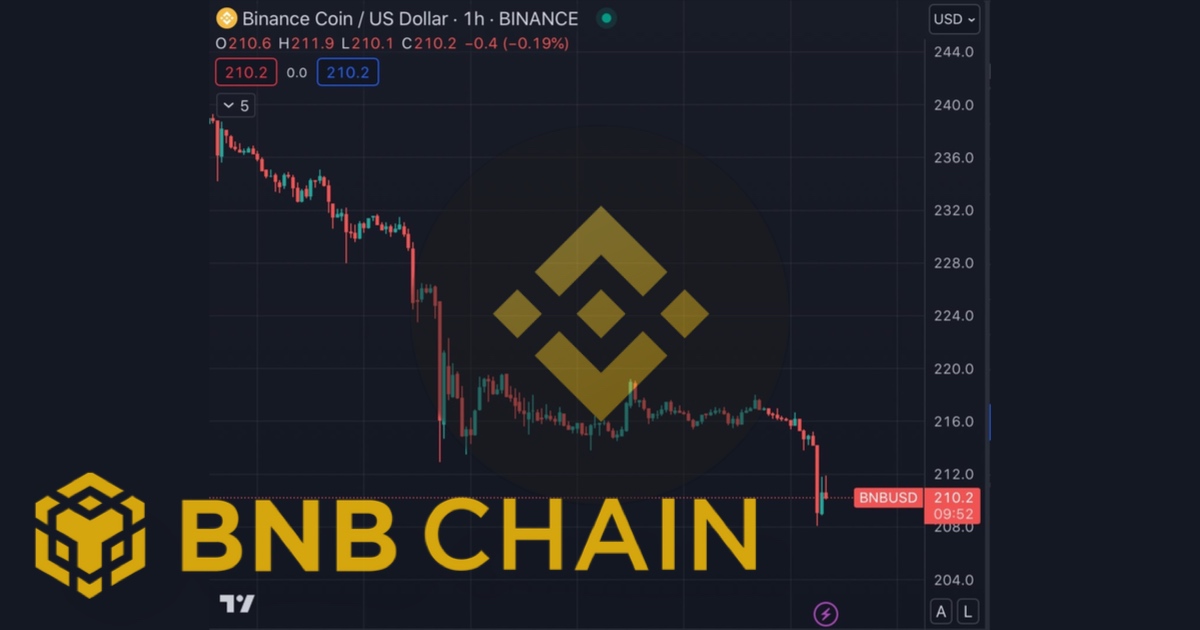 BNB valuation